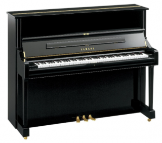 Yamaha U3 Duvar