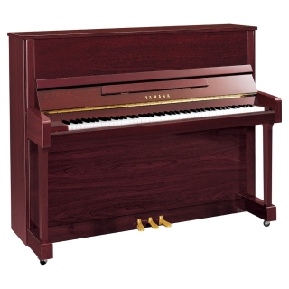 Yamaha B3