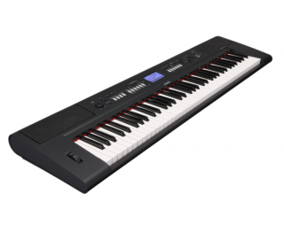 Yamaha NP-V60