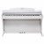 Kurzweil MP-120