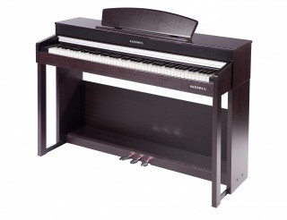 Kurzweil CUP-220