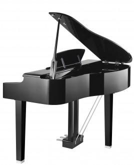 Kurzweil MPG-200BP