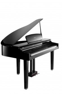 Kurzweil MPG-200BP