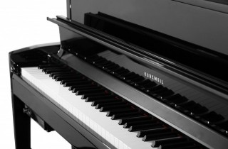 Kurzweil CUP-2