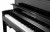 Kurzweil CUP-2