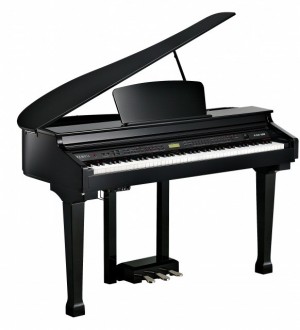 Kurzweil KAG-100