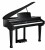 Kurzweil KAG-100