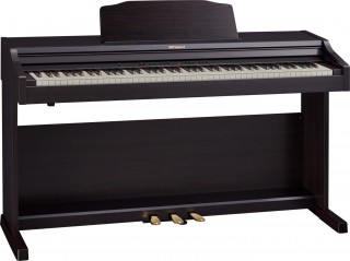 Roland RP-501