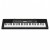 Casio CTK-2500