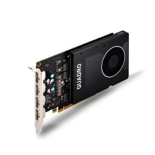 NVIDIA Quadro P2200 Ekran Kartı