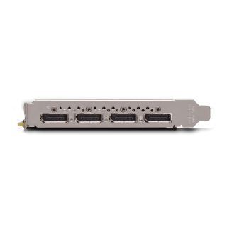 NVIDIA Quadro P2200 Ekran Kartı