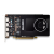 NVIDIA Quadro P2200 Ekran Kartı