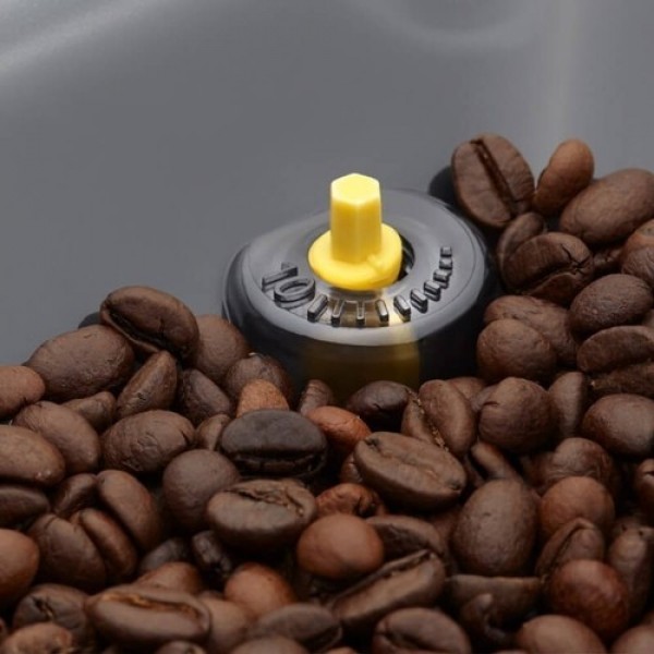Gaggia Cadorna Milk RI9603 Kahve Makinesi