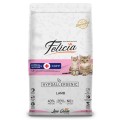 Felicia Mother Kitten Kuzu Etli Yavru 2 kg resim
