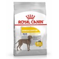 Royal Canin Maxi Derma 10 kg resim