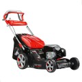 Efco AR 53 TBX resim