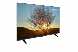 Grundig Hamburg 40 GDF 5955B Full HD (FHD) TV