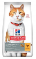 Hill's Adult Kuzu Etli 3 kg resim