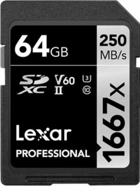 Lexar Professional 1667x SD