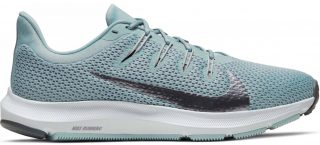 Nike Quest 2 Kadın Spor Ayakkabı