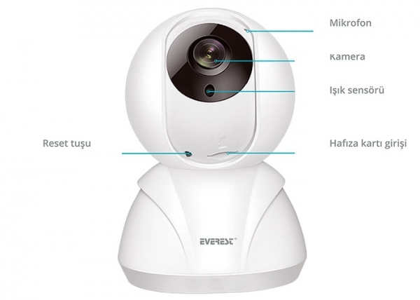 Everest DF-841W