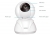 Everest DF-841W
