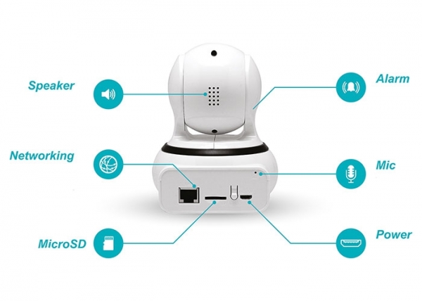 Everest DF-805W