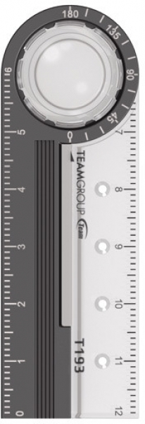 Team Group T193 Flash Bellek (32 GB)