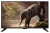 Sungate LED50DN5 Full HD (FHD) Ekran
