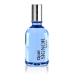 Farmasi Signor Opal EDP 50 ml Erkek Parfümü resim
