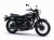 Kawasaki W800 Special Edition Chopper