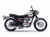 Kawasaki W800 Chopper