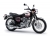 Kawasaki W800 Chopper