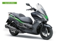 Kawasaki J300 Special Edition resim
