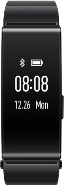 Huawei TalkBand B2 Akıllı Bileklik