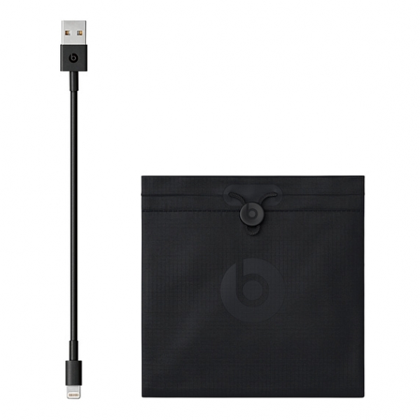 Beats Powerbeats4 Kablosuz Kulaklık