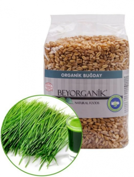 Beyorganik Çimlendirmelik Organik Buğday 500 gr