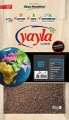 Yayla Gurme Teff Tohumu 500 gr resim