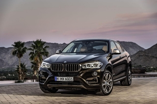 2015 BMW X6 xDrive40d 3.0 313 BG Otomatik (4x4)