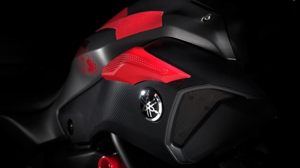 Yamaha MT-07 Moto Cage