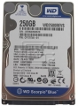 WD Scorpion Blue resim