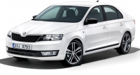 2016 Skoda Rapid 1.6 TDI Green Tec 115 PS Style resim