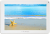 Mobee Nett 9" S1600 Tablet