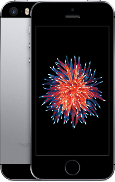 Apple iPhone SE (16 GB)