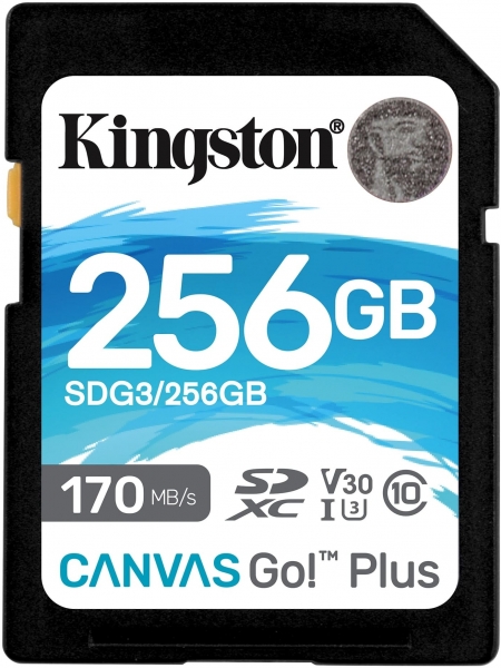 Kingston Canvas Go! Plus SD
