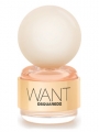 Dsquared2 Want EDP 100 ml Kadın Parfümü Parfüm