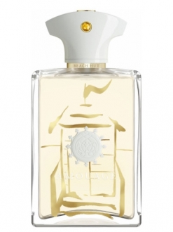 Amouage Beach Hut EDP 100 ml Erkek Parfümü