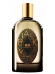 Phaedon Black Vetiver EDP 100 ml Unisex Parfüm resim