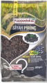 Kappadokia Siyah Pirinç 500 gr resim