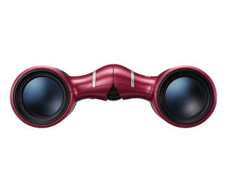 Nikon Aculon T02 8x21 Çatı Dürbün